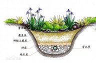 什么是雨水花園？雨水花園和普通花園有什么區(qū)別？